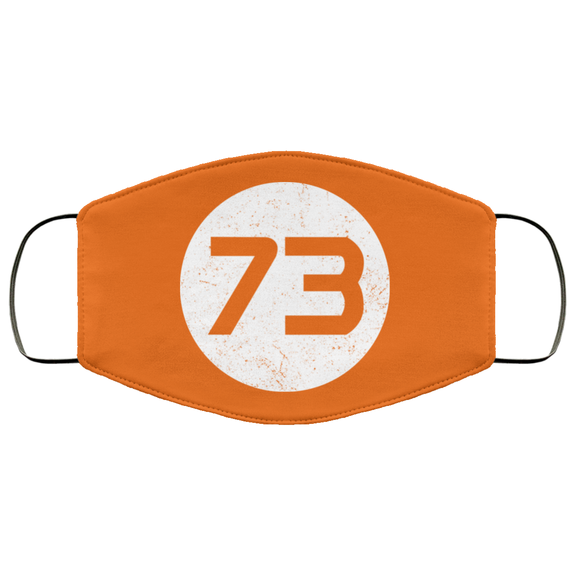 Sheldon Cooper’s 73 Face Mask