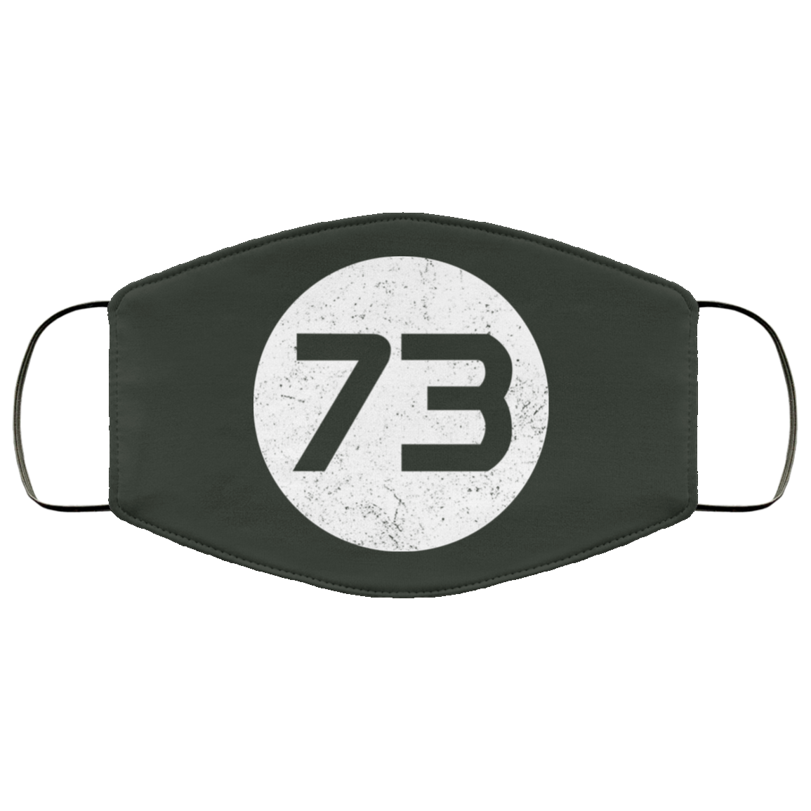Sheldon Cooper’s 73 Face Mask