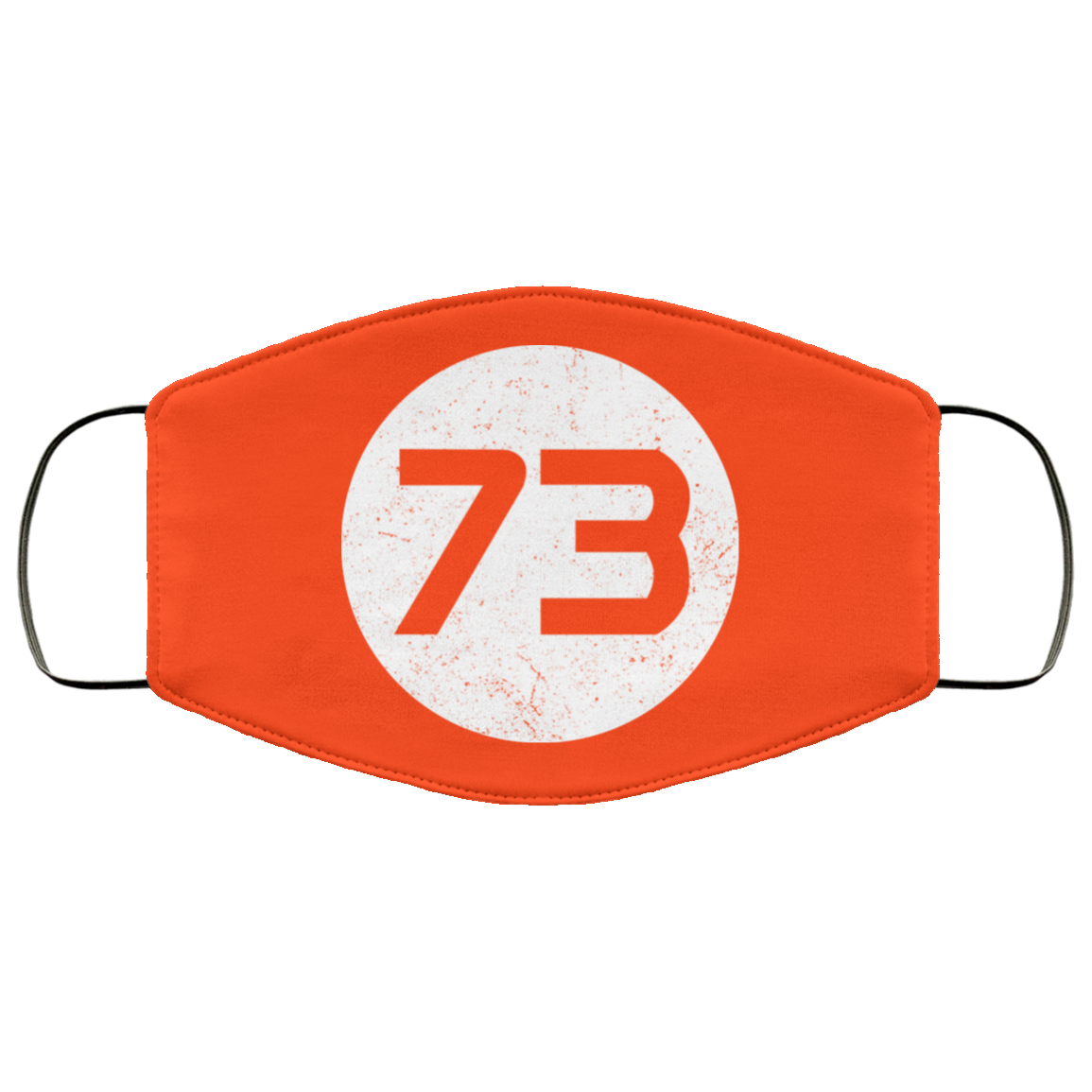Sheldon Cooper’s 73 Face Mask