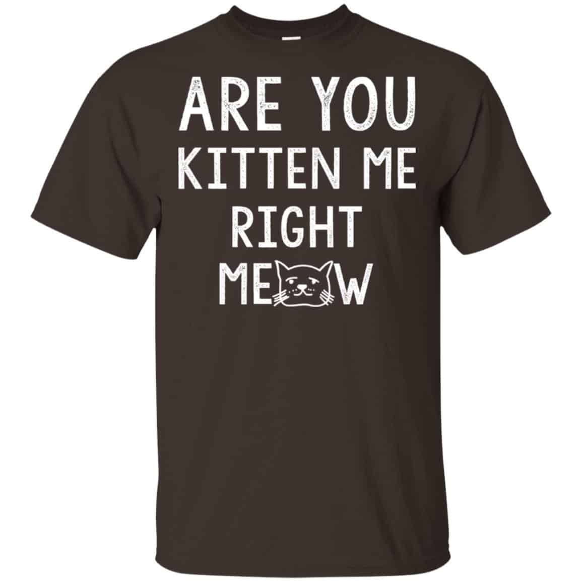 Are You Kitten Me Right Meow Shirt, Hoodie, Tank