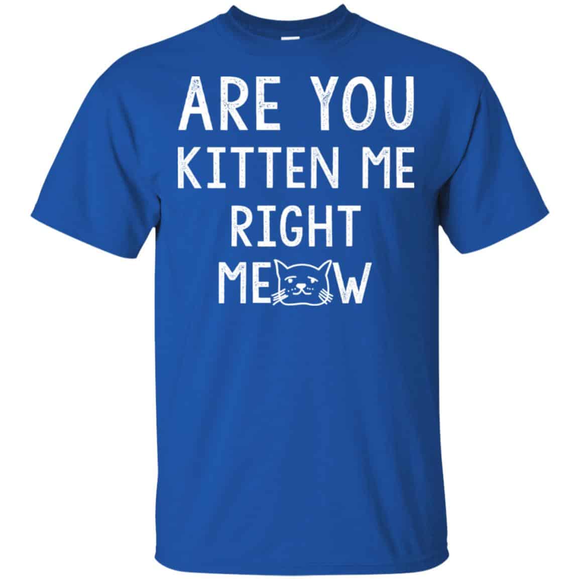 Are You Kitten Me Right Meow Shirt, Hoodie, Tank