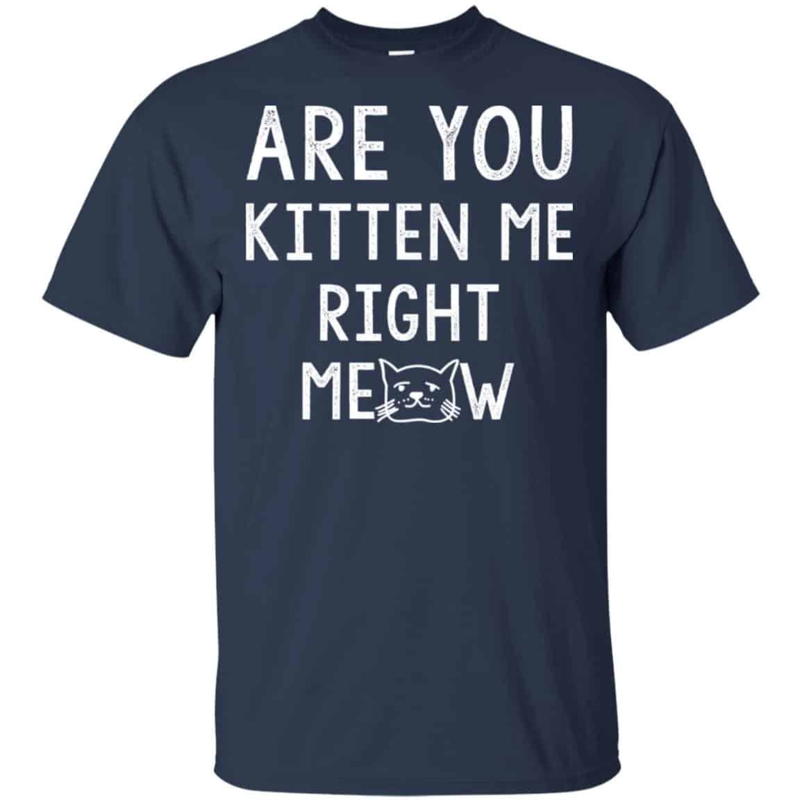 Are You Kitten Me Right Meow Shirt, Hoodie, Tank