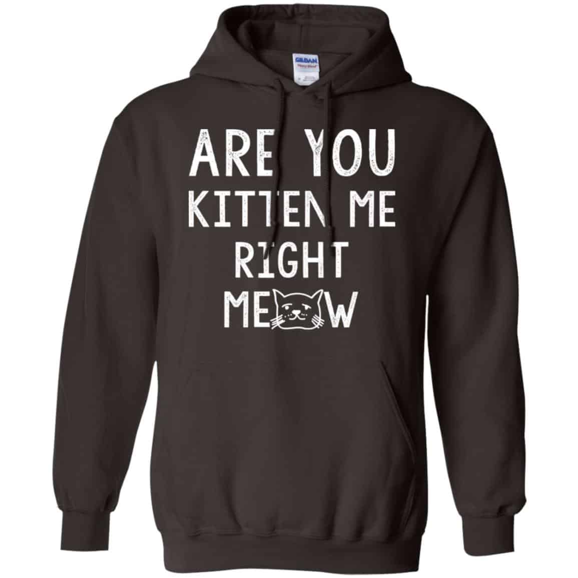 Are You Kitten Me Right Meow Shirt, Hoodie, Tank