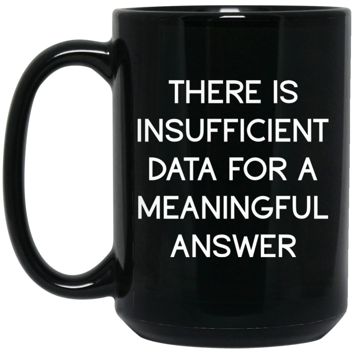 There Is Insufficient Data For A Meaningful Answer Mug