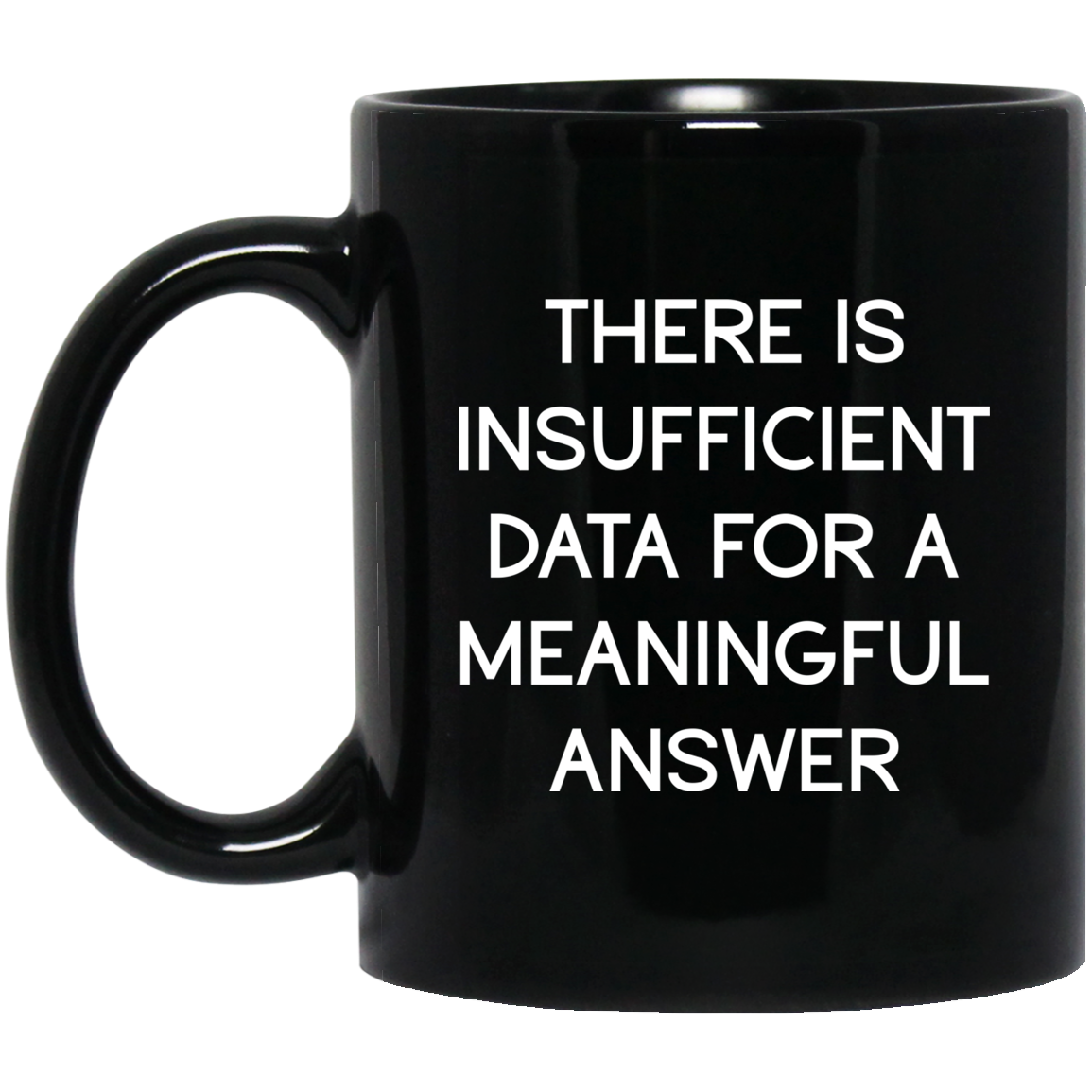 There Is Insufficient Data For A Meaningful Answer Mug