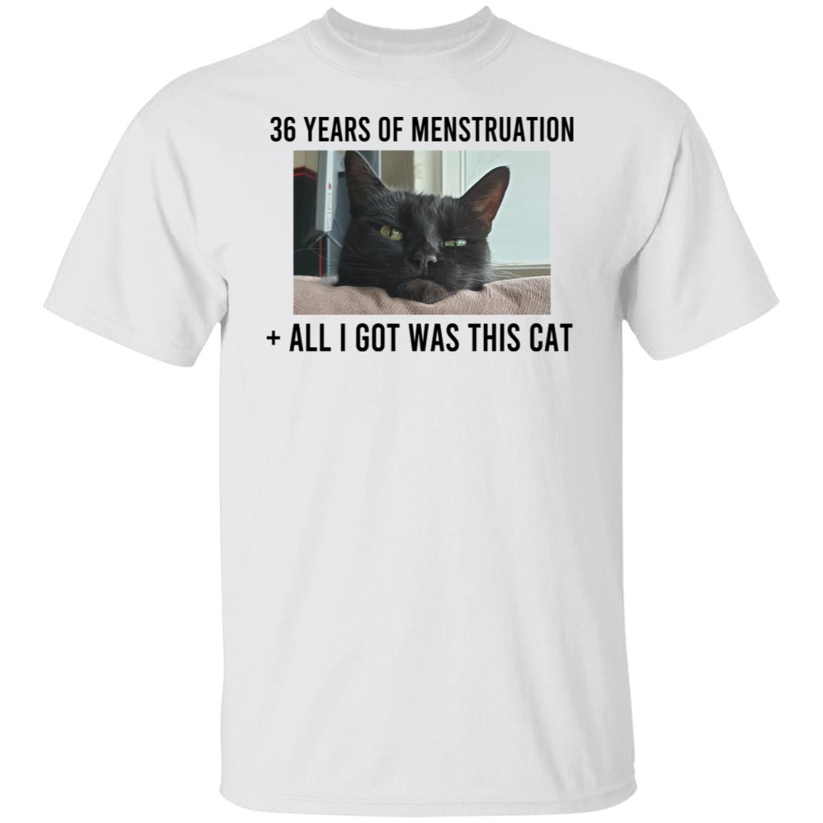 36 Years Of Menstruation All I Got Was This Cat Shirt, Hoodie, Tank