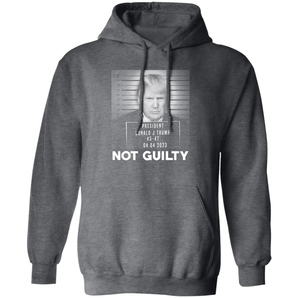 Trump Not Guilty President