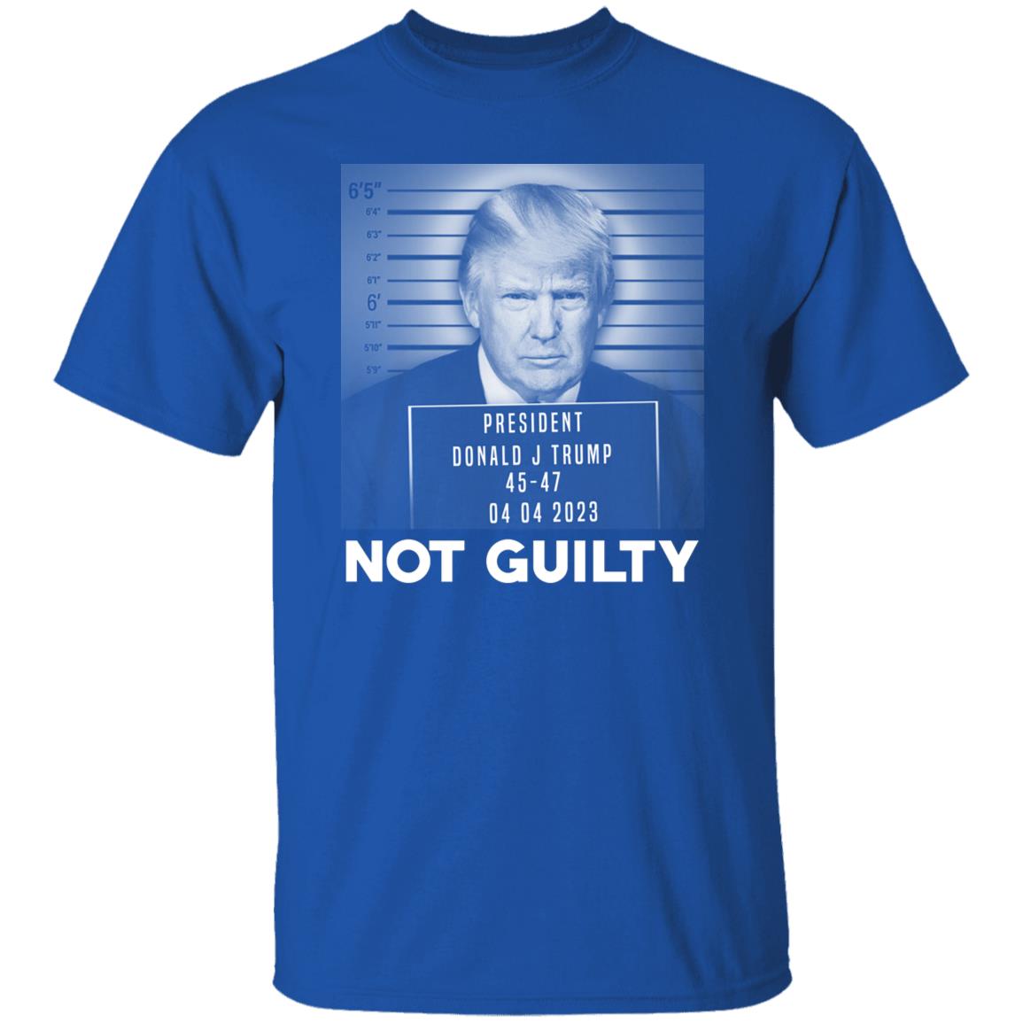Trump Not Guilty President