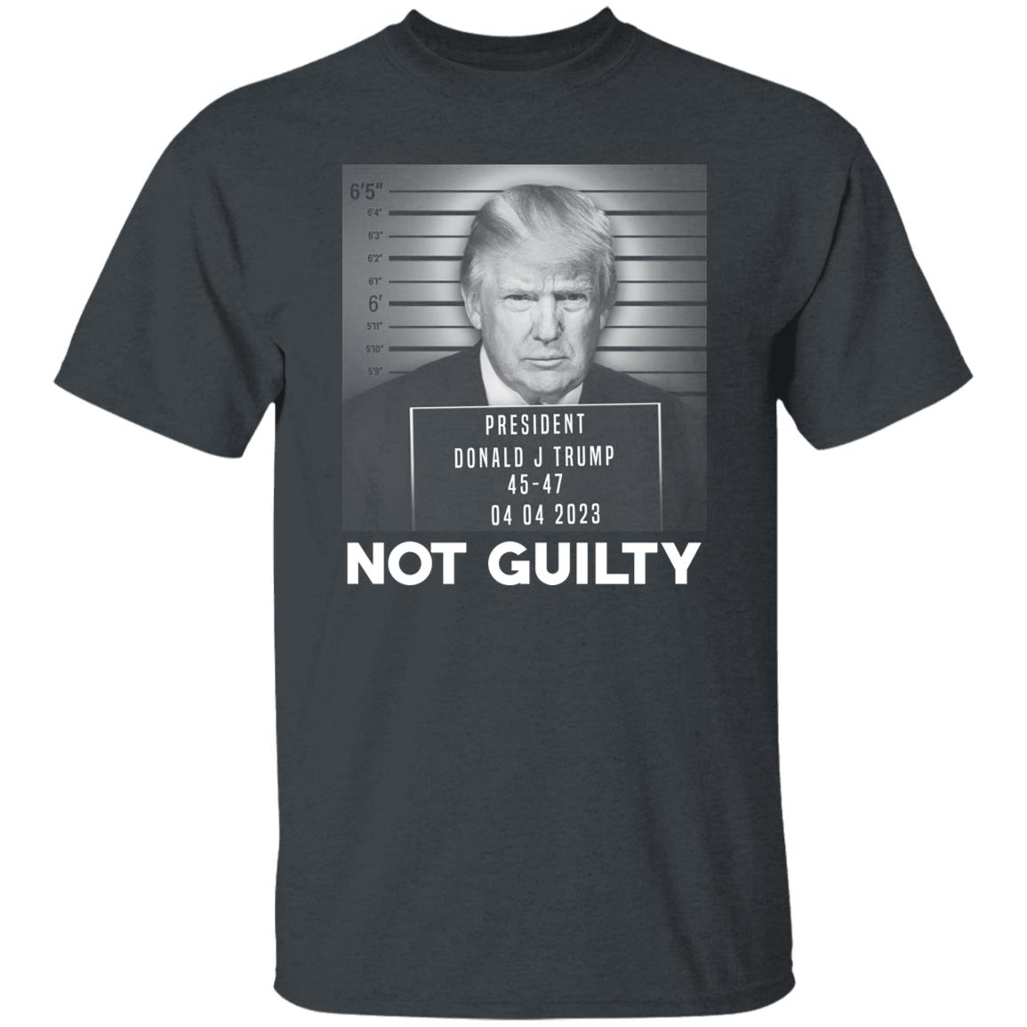 Trump Not Guilty President