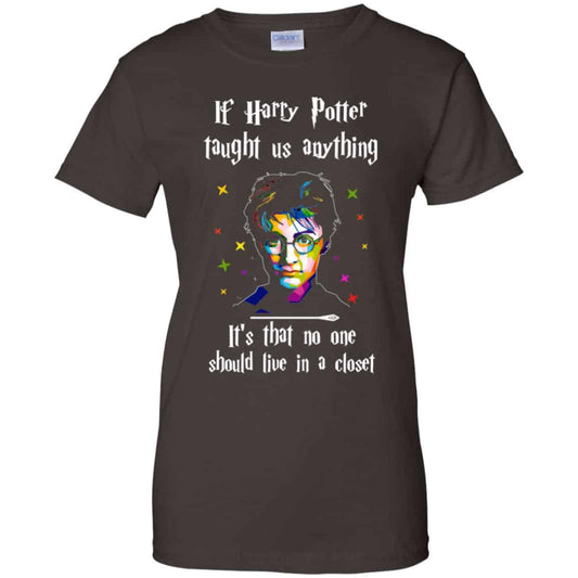 Harry Potter: If Harry Potter Taught Us Anything It’s That No One Should Live In A Closet T-Shirts, Hoodie, Tank