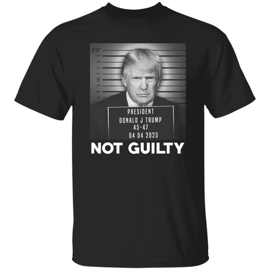 Trump Not Guilty President